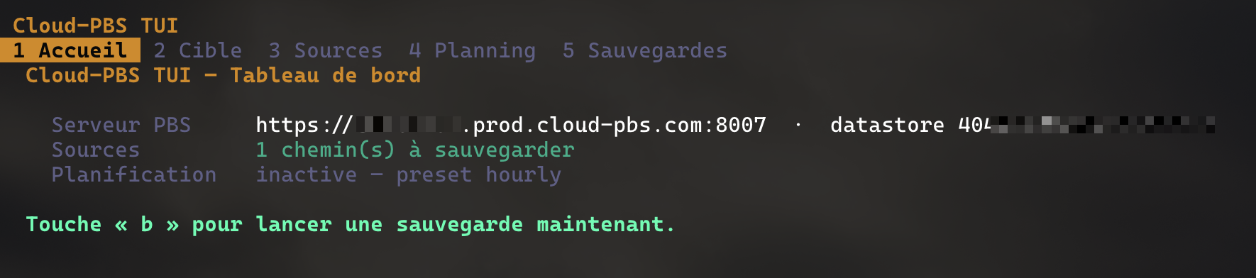 Écran Accueil de Cloud-PBS TUI : synthèse de la configuration courante.