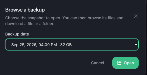 Pick the snapshot to browse
