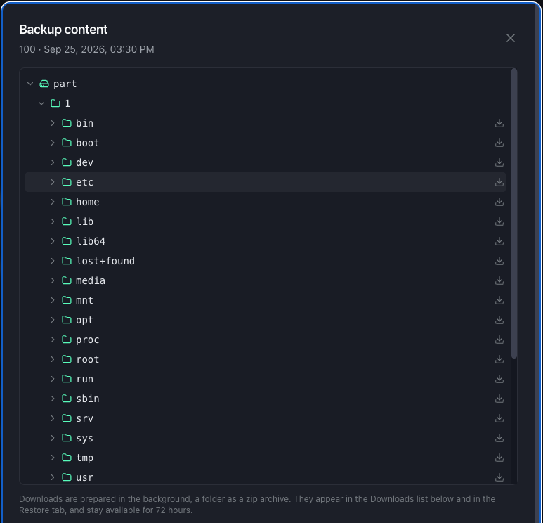 Tree of a VM backup: disks, partitions, file system