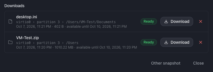 Downloads list with its states